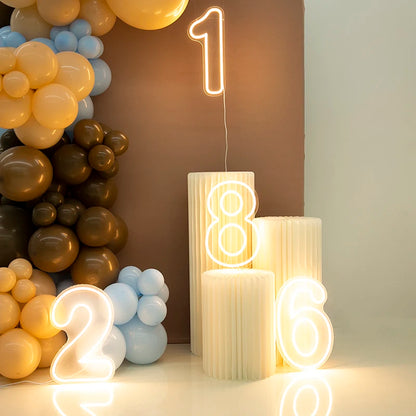 Numbers Neon Sign Birthday Acrylic Lights 0 to 9 with Switch for Wedding Party Business Beauty Salon Wall Decor